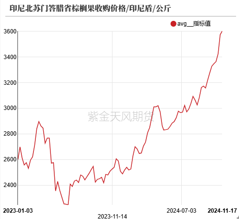 油脂：内外双重打击  第13张