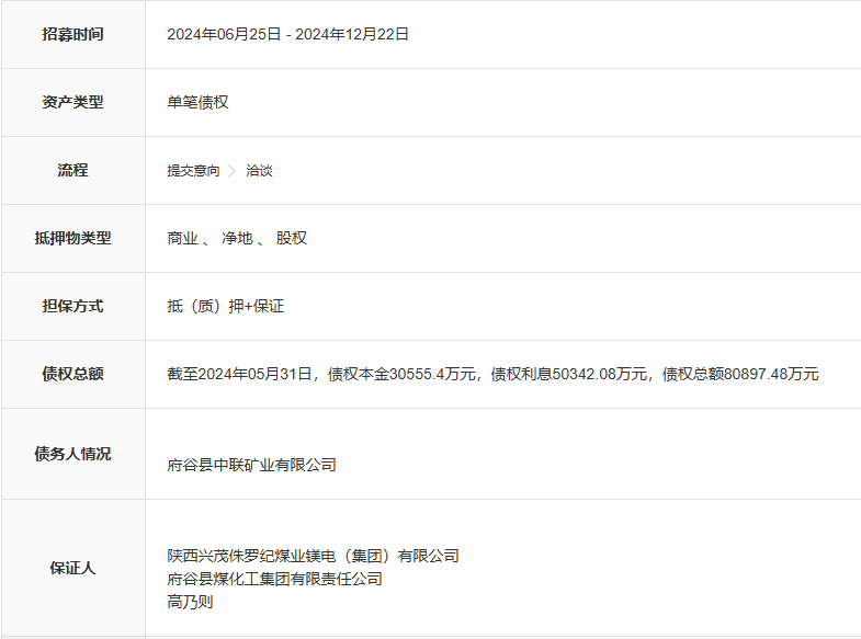 4.46亿元起拍！这个省“前首富”之子所持一煤矿股权将被拍卖  第6张