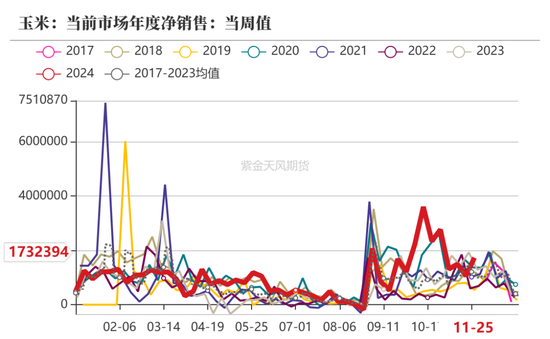 玉米：静待花开  第3张