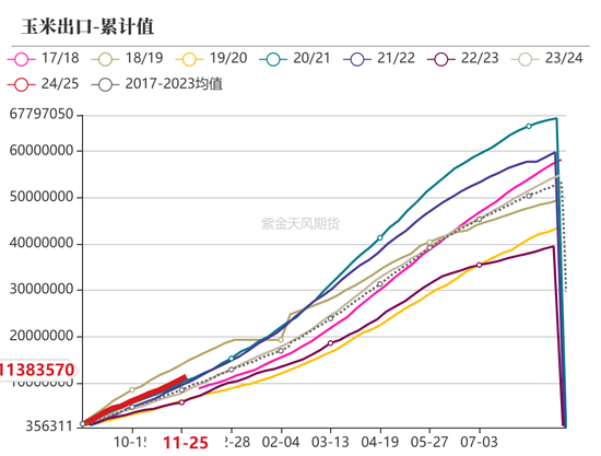 玉米：静待花开  第4张