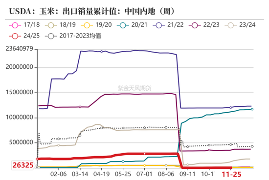 玉米：静待花开  第8张