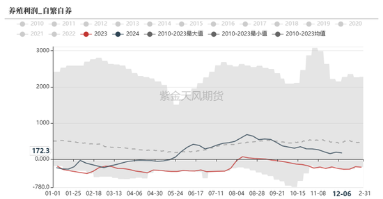 玉米：静待花开  第36张