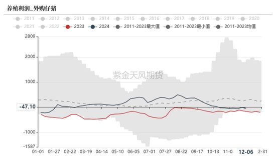 玉米：静待花开  第37张