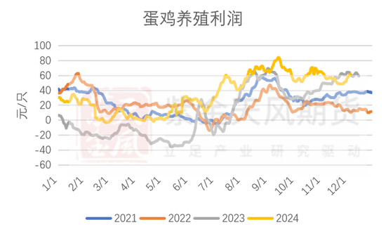 玉米：静待花开  第41张