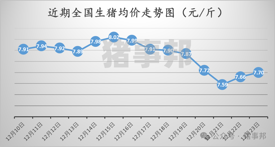 12月23日猪价汇总（稳中伴涨！）  第3张