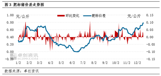 卓创资讯：养殖减重推动体重差和肥标差变化 1月生猪供应量或环比再增  第5张