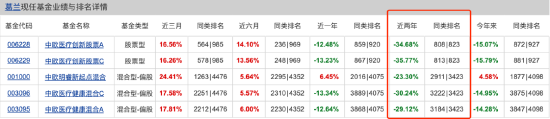 盘点2024百亿偏股混合型基金业绩：中欧医疗健康A今年跌14.28%暂居跌幅榜首 葛兰称仍旧看好创新药械及产业链  第2张