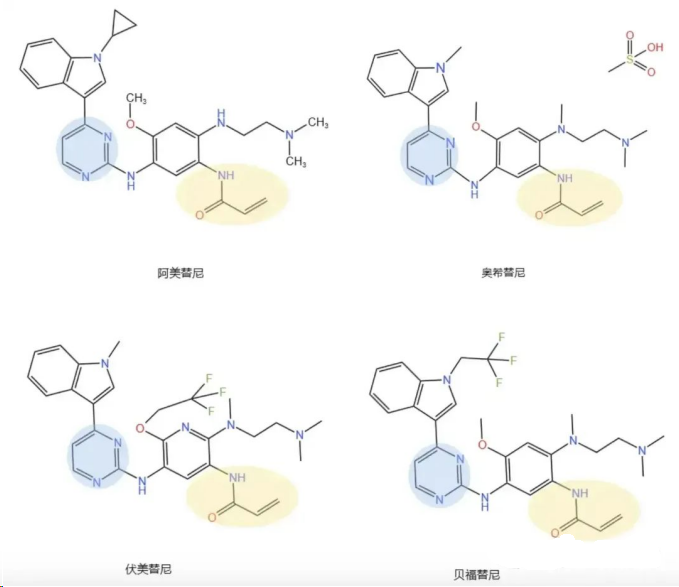 被极度低估的科创板Biotech  第2张