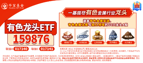 逆市涨超2%！有色龙头ETF（159876）霸居全市场ETF涨幅榜前十！铜、铝、黄金携手狂飙，紫金矿业涨逾4%  第3张