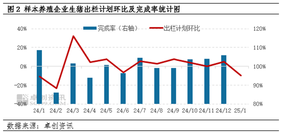 卓创资讯：1月样本企业生猪出栏计划环比减少 但日均出栏或环比增加  第4张