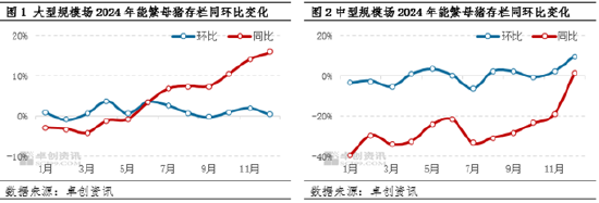 生猪：养殖盈利缩水 2025年养殖群体产能调整或有新变化  第4张