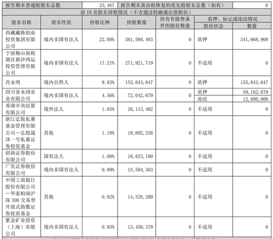 青海前首富肖永明，不想再撑了  第3张