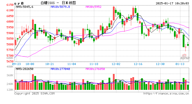 光大期货软商品类日报1.17  第2张