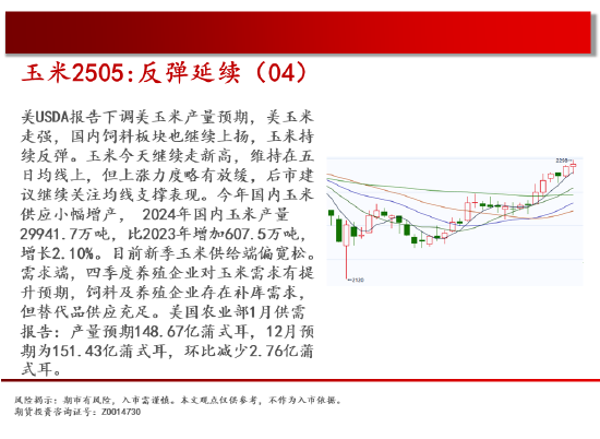 中天期货:玉米反弹延续 棕榈重心下移  第6张