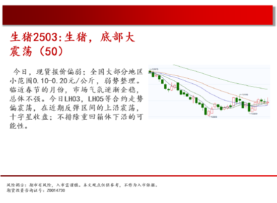 中天期货:玉米反弹延续 棕榈重心下移  第7张