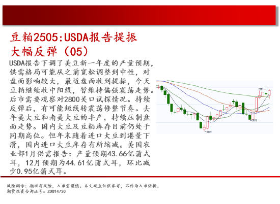 中天期货:玉米反弹延续 棕榈重心下移  第12张