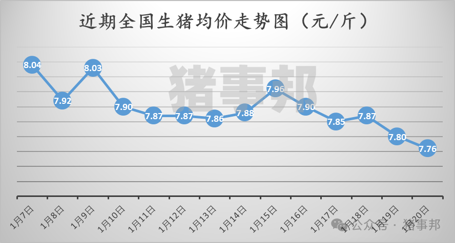 1月20日猪价汇总（多数延续跌势！）  第3张