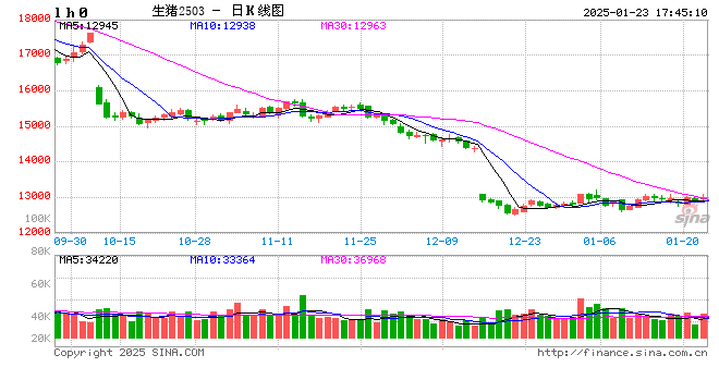 生猪现货日报|全国均价15.29元/公斤 仔猪价格持续逆势上涨 全国仔猪均价连涨三周  第2张