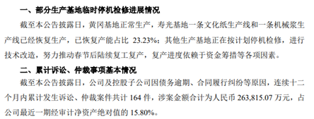 产能检修、诉讼缠身，造纸巨头晨鸣纸业2024年预亏65亿至75亿  第3张