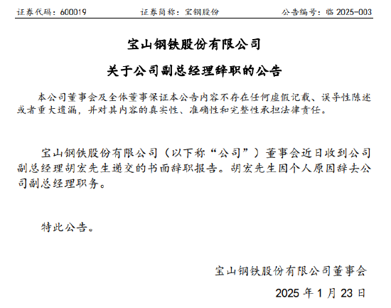 宝钢股份副总胡宏被带走调查，公司公告称因个人原因辞职  第3张