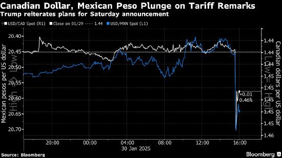 特朗普的25%关税承诺震动汇市 加元和墨西哥比索双双重挫  第1张