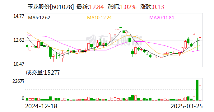 玉龙股份：公司股票将于3月27日开市起停牌  第1张