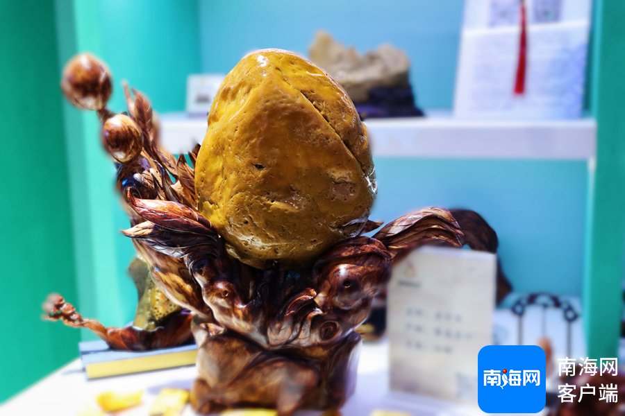 昌江玉、黎陶茶具、黎锦壁挂……昌江好物亮相消博会 赋能商贸文旅融合新机遇  第1张