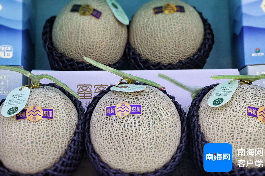 昌江玉、黎陶茶具、黎锦壁挂……昌江好物亮相消博会 赋能商贸文旅融合新机遇  第3张