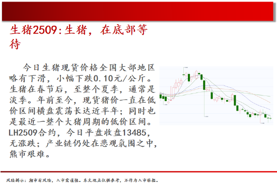中天期货:棕榈震荡回落 关注是否企稳  第4张