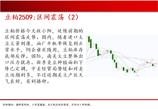 中天期货:棕榈震荡回落 关注是否企稳  第9张