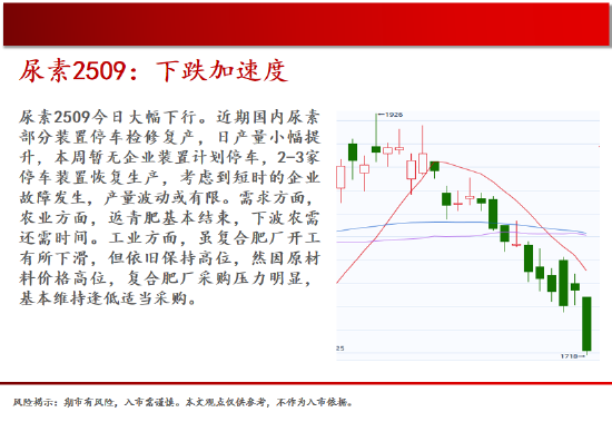 中天期货:棕榈震荡回落 关注是否企稳  第15张
