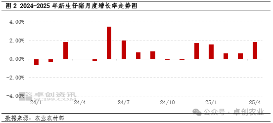 仔猪供应宽松，价格或继续下探  第4张