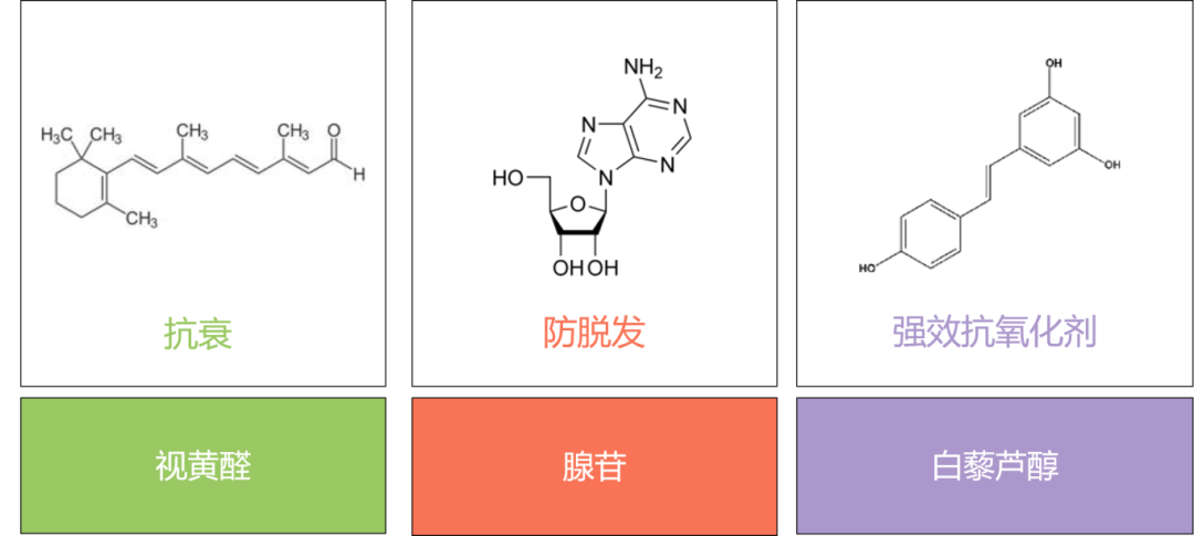 明天见！精化快车与您相约CPHI China 2025，共启国际化新征途！  第5张
