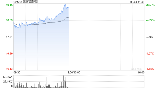 黑芝麻智能盘中涨超5% 拟回购公司股票最高总价1亿元  第1张